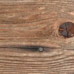 Polish Your Presence: How SEO Can Elevate Your Sarasota Nail Salon Above the Rest