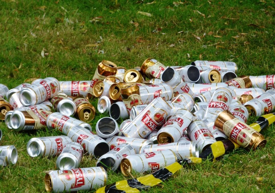 Rank Higher and Remove More: The Untapped SEO Benefits for Junk Removal Companies in Bradenton