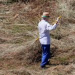 Rise Above the Competition: The Hidden Benefits of SEO for Bradenton’s Deck Builders