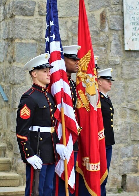 Rooting for Success: Unlocking the Power of PPC to Elevate Your Tree Care Business in Sarasota