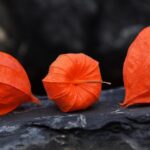“Sarasota Small Business Spotlight: How SEO Can Help Your Gutter Cleaning Service Stand Out”