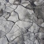 Sculpting Success: Why Your Sarasota Land Grading Business Needs PPC Marketing Now!