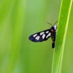 Seal the Deal: Why Bradenton Window Replacers Can't Afford to Ignore PPC Advertising