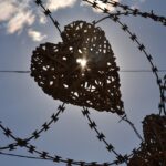 Secure Your Leads: How PPC Can Boost Your Sarasota Home Security Business