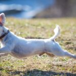 Shifting Gears: Transform Your Bradenton Moving Business with Smart SEO Strategies