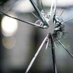 Sink or Swim: Why Sarasota Water Damage Restoration Firms Can't Afford to Ignore PPC Marketing