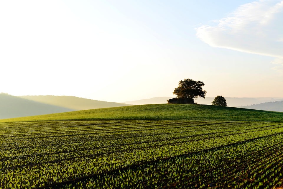“Sloping Toward Success: Why Bradenton Land Graders Can't Afford to Overlook PPC!”