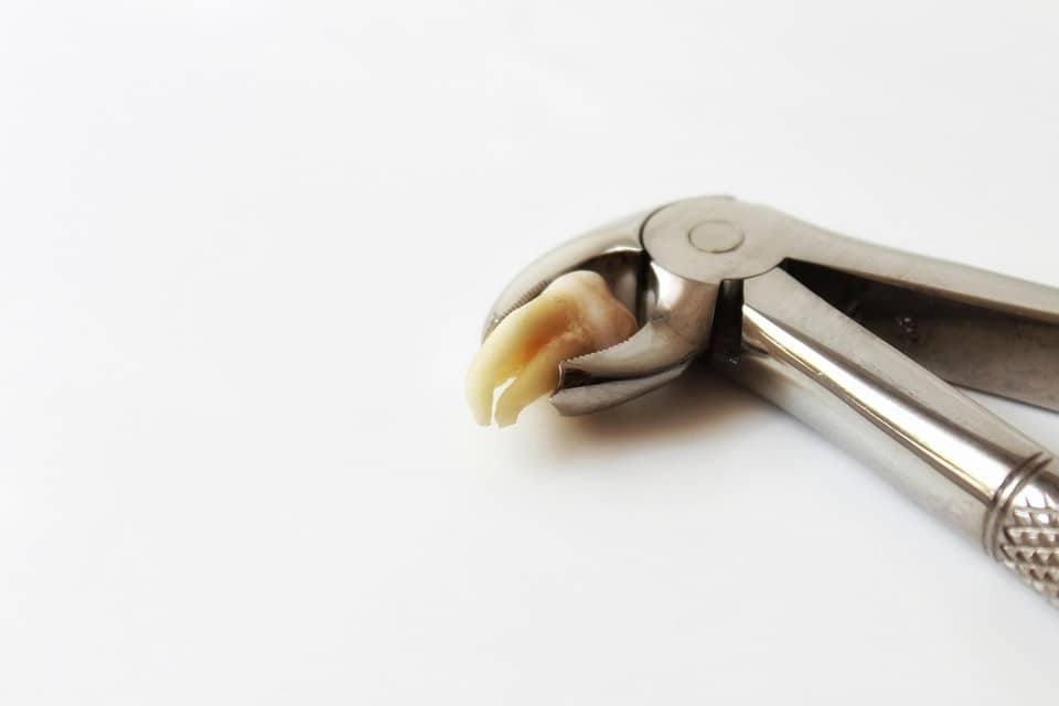 Smile Brighter: How SEO Can Put Your Sarasota Dental Practice on the Map!