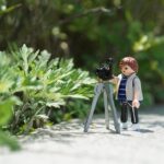 Snap Up Success: How PPC Can Elevate Your Bradenton Photography Business