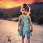 Sniffing Out Success: The Importance of Local SEO for Bradenton's Pet Grooming Pros