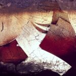 Soaking Up Success: The Top 5 Benefits of PPC Advertising for Bradenton’s Water Damage Restoration Experts