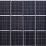 Solar Success: Why Sarasota Installers Can’t Afford to Ignore SEO in the Sunshine State