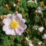 Soothing Search Rankings: Why Every Bradenton Day Spa Needs an SEO Strategy