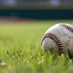 Sow the Seeds of Success: How Effective SEO Can Transform Your Lawn Care Business in Sarasota