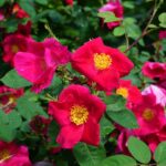 Spa Success Starts Online: The Essential SEO Guide for Sarasota Day Spa Owners