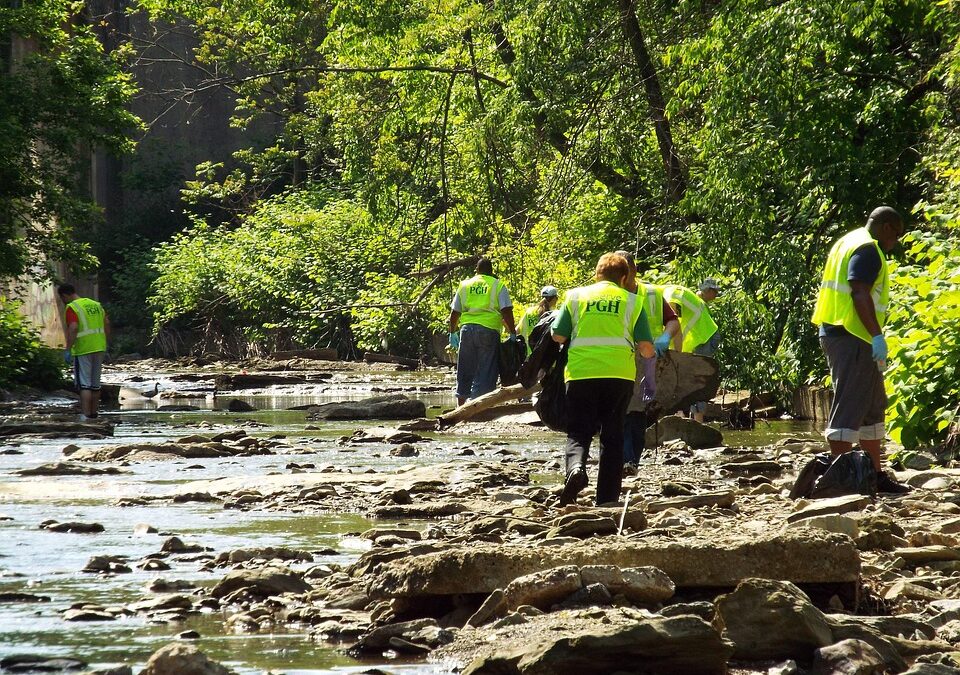 Sparkle and Shine: How Local SEO Can Transform Your Bradenton House Cleaning Business