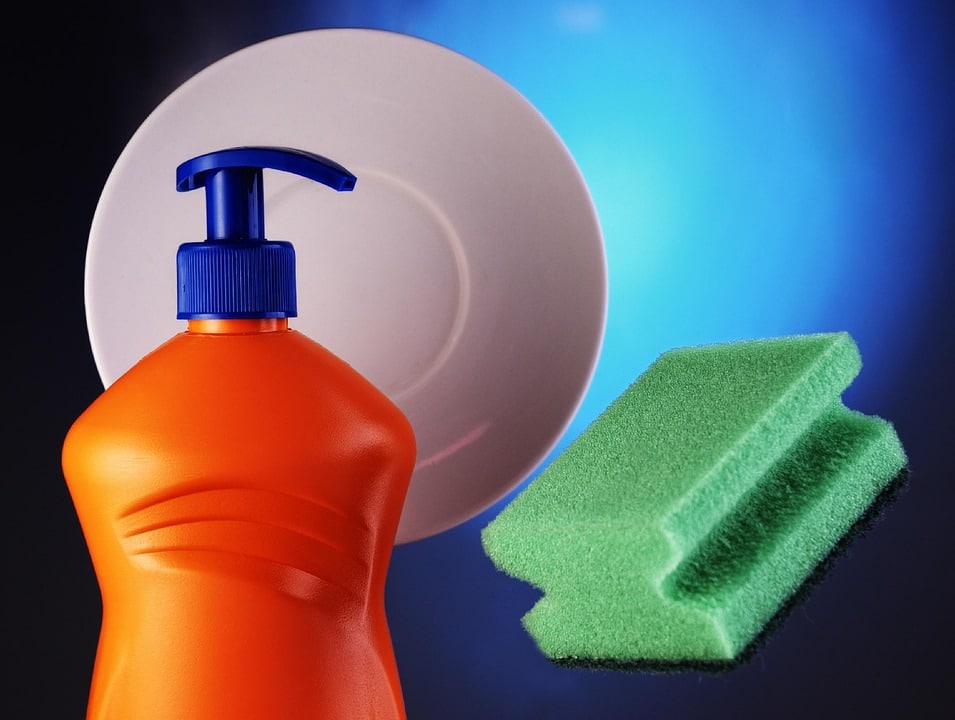 Sparkling Success: How SEO Can Elevate Your House Cleaning Business in Bradenton