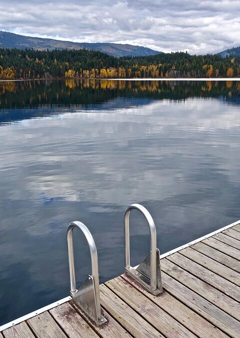 Splashing Into Success: How SEO Can Propel Your Bradenton Pool Repair Business to the Next Level