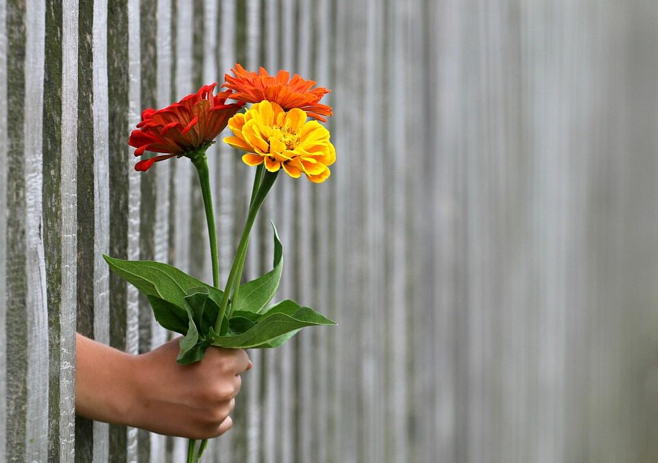 Stand Out! How Effective SEO Can Transform Your Fence Installation Business in Bradenton