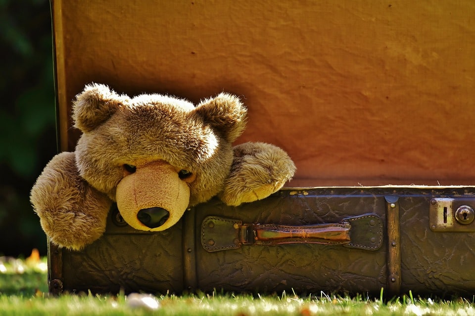 Stand Out in the Sunshine State: Boost Your Junk Removal Business with Local SEO Strategies