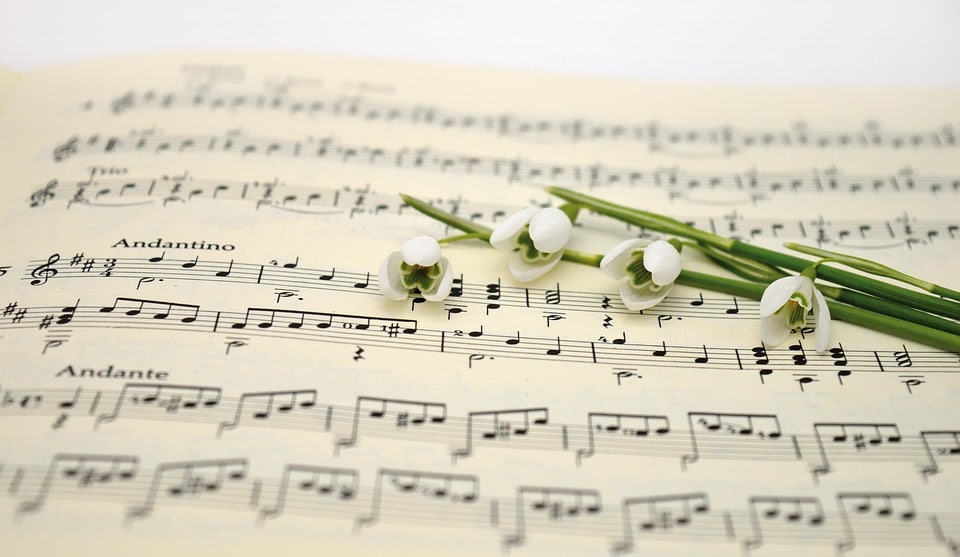 Striking the Right Chord: 5 SEO Strategies to Boost Your Bradenton Music School's Visibility
