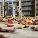 Sunny Days Ahead: Why Sarasota Patio Builders Can't Afford to Ignore PPC