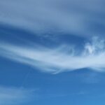 Sweep Into Success: The Top 5 SEO Tips for Sarasota's Chimney Sweep Entrepreneurs