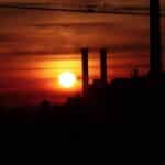 Sweep Up Success in Sarasota: Top 5 Reasons Your Chimney Sweep Business Needs PPC Today