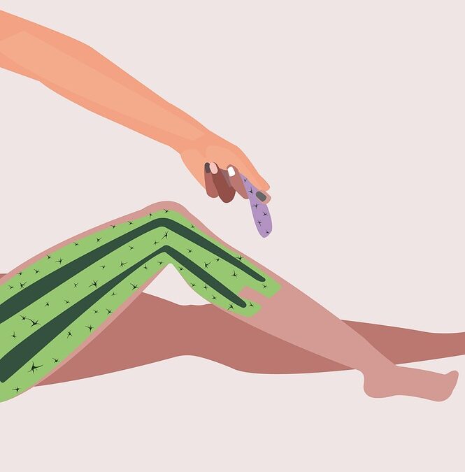 Tame Your Online Presence: How SEO Can Elevate Your Bradenton Hair Salon Above the Rest