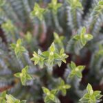 Targeting Tranquility: How PPC Can Drive Clients to Your Day Spa in Sarasota