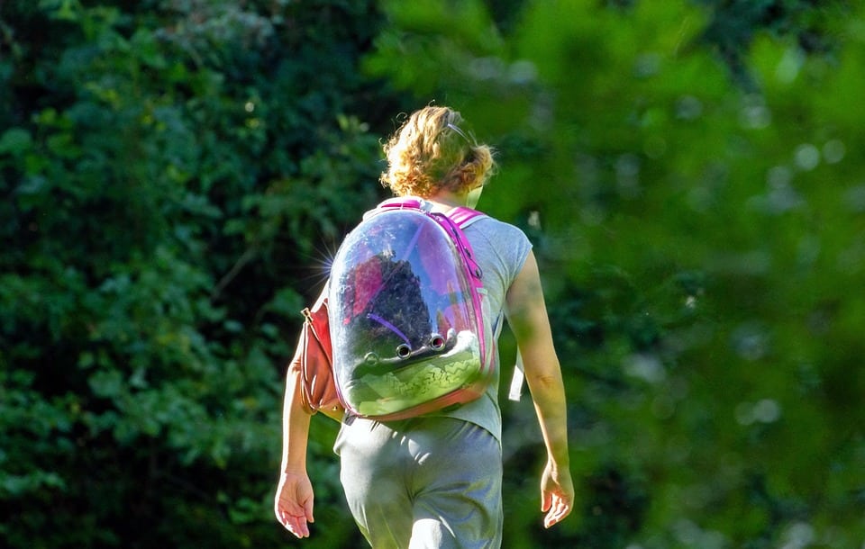 The Road to Growth: Why Every Bradenton Driving School Needs to Optimize for SEO Today