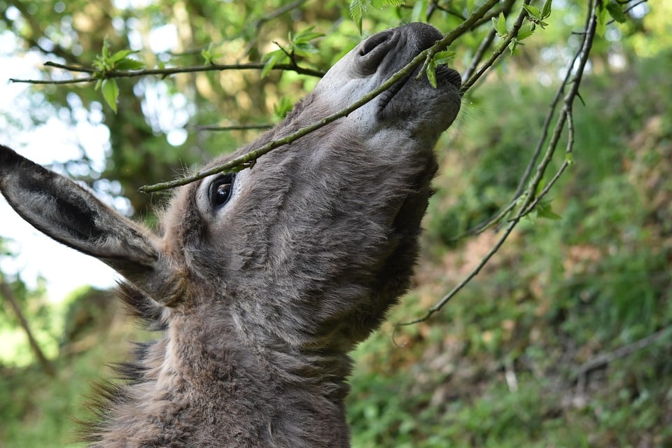 The SEO Advantage: Why Sarasota Gutter Cleaners Can't Afford to Ignore Online Visibility