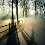 The Sarasota Advantage: Unlocking the Power of PPC Advertising for Your Fence Company