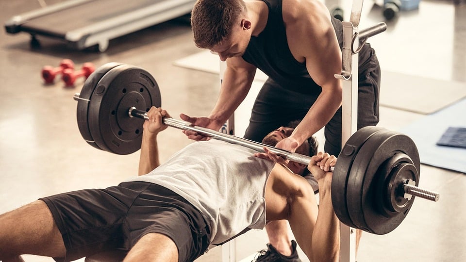 The Secret Weapon for Sarasota Gyms: How Effective SEO Can Turn Clicks into Clients