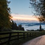 Top 5 SEO Strategies for Sarasota Fence Installers: Build a Strong Online Presence