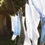 Transform Your Curb Appeal: The Hidden SEO Advantages of Pressure Washing for Sarasota Entrepreneurs