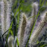 Transform Your Local Presence: 5 PPC Strategies for Sarasota’s Dryer Vent Cleaning Heroes!