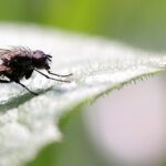 Transform Your Pest Control Business: Five SEO Tips to Stand Out in Bradenton’s Competitive Market