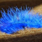 Transform Your Sarasota Carpet Cleaning Business: How SEO Can Clean Up Your Online Presence!