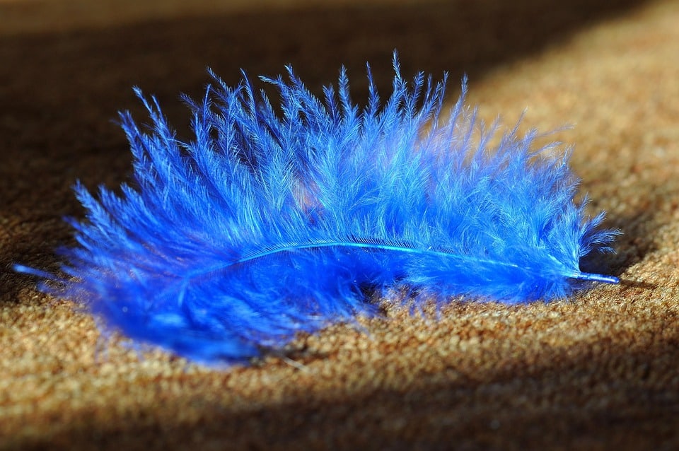 Transform Your Sarasota Carpet Cleaning Business: How SEO Can Clean Up Your Online Presence!