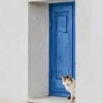 Transform Your Sarasota Home Organizing Business: 5 Ways PPC Can Bring You New Clients Fast!