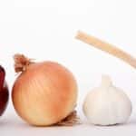 Transform Your Sarasota Kitchen Remodeling Business: How SEO Can Boost Your Local Reach