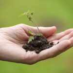 Turf Your Competition: Boost Your Sarasota Lawn Care Business with Smart SEO Strategies