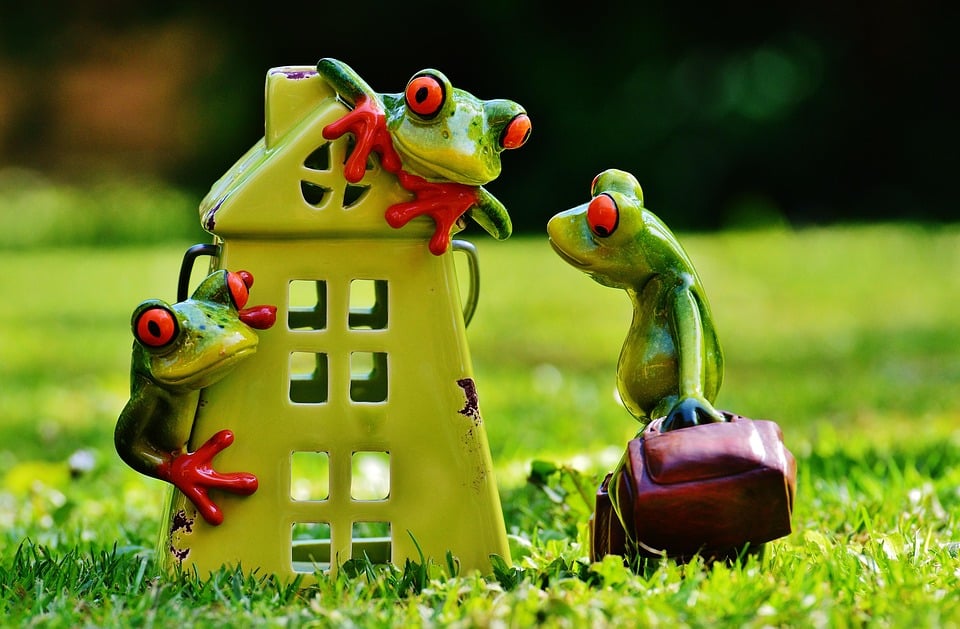 Turning Tidy Spaces into Tidy Profits: The SEO Benefits Every Sarasota Home Organizer Should Know