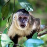 Unlock the Secret to Success: Why Every Bradenton Nail Salon Needs a Strong SEO Strategy