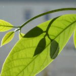 Unlocking Bliss: The Top 5 PPC Strategies to Boost Your Bradenton Day Spa’s Visibility