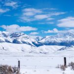 Unlocking Local Success: How SEO Can Elevate Your Sarasota Fence Installation Business