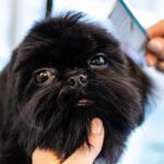 Unlocking Local Success: How SEO Can Transform Your Sarasota Hair Salon into a Community Favorite