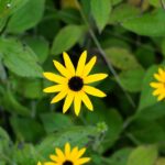 Unlocking Local Success: The Ultimate SEO Guide for Bradenton Day Spas