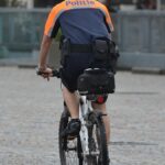 Unlocking Local Success: Why Every Bradenton Insurance Agent Needs an SEO Game Plan